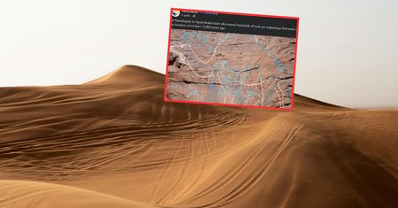 Odkrycie na pustyni. Miały służyć jako drogowskazy do wody