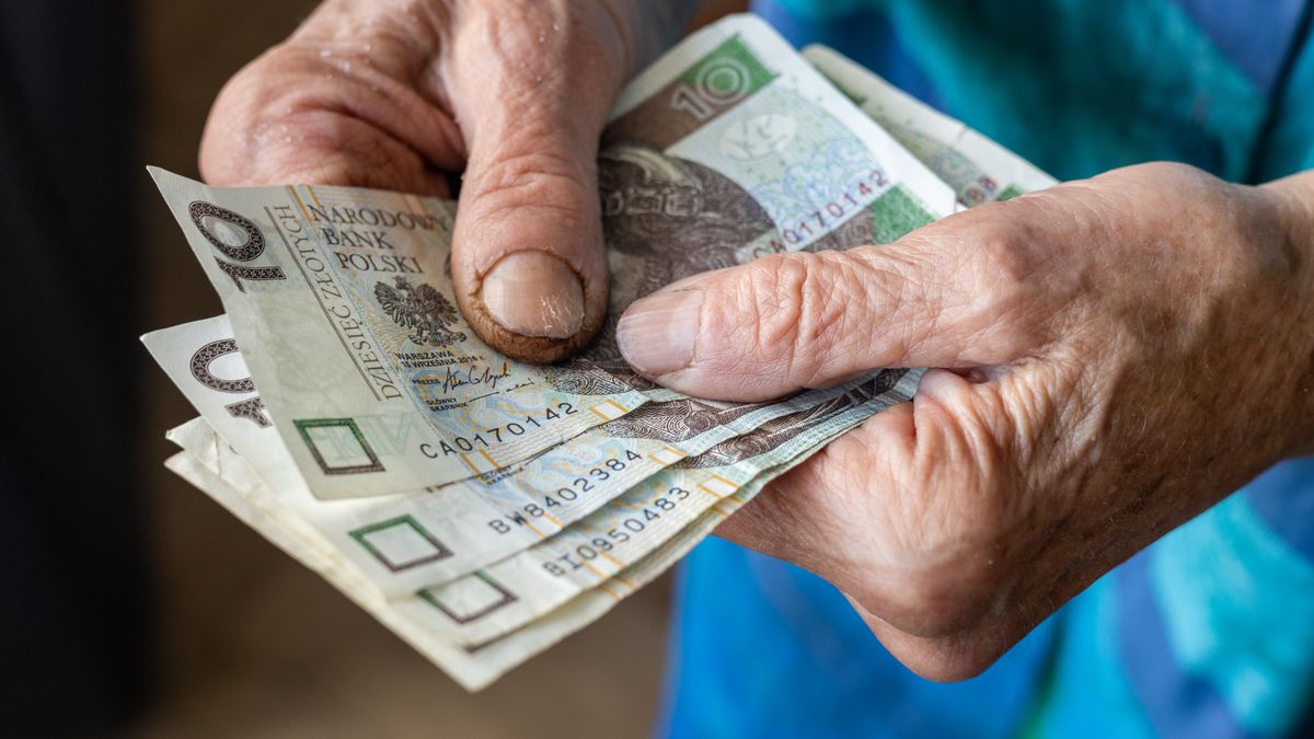 Polish pensioner holds several low-denomination banknotes in her hands, Cost of living of a senior citizen in Poland, Money Polish zloty
Polish pensioner holds several low-denomination banknotes in her hands, Cost of living of a senior citizen in Poland, Money Polish zloty, financial concept
Andrzej Rostek
default, beggary, desperate need