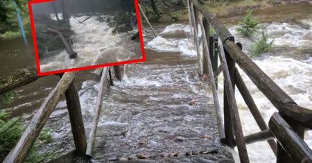 "Gwałtowne wezbrania wód". Karkonoski Park Narodowy zamknięty
