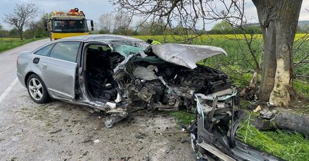 Audi uderzyło w drzewo, nie żyje pasażerka. Kierowca był pijany