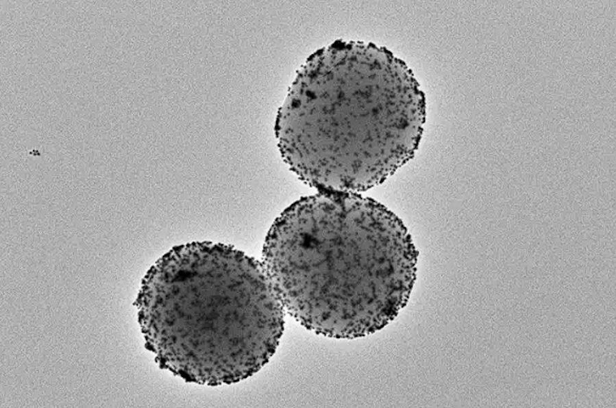 Nanoroboty pozwoliły zmniejszyć guz pęcherza u myszy o 90 proc.