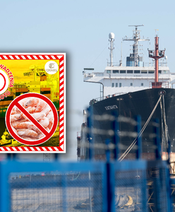 W Szczecinie mają pełno roboty. Kontrolerzy cofnęli kolejny transport