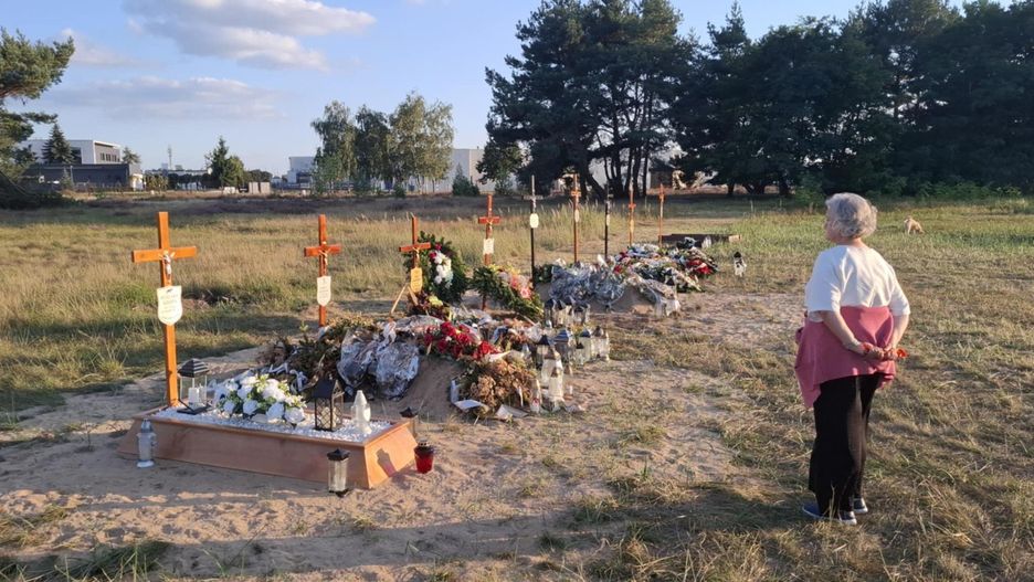 Pierwsze pochówki w nowym XIV sektorze cmentarza. Niebawem poprowadzone zostaną na tym terenie nowe alejki. W tle Las Pamięci