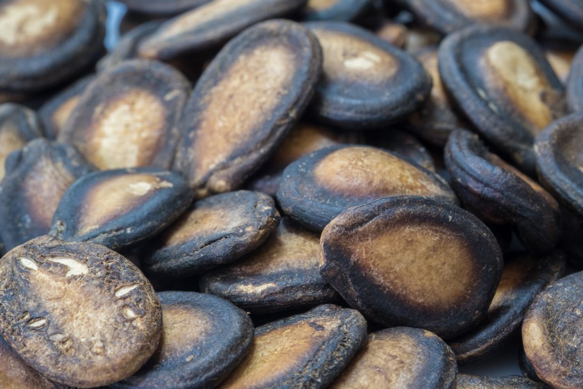 It's worth roasting and peeling watermelon seeds first.