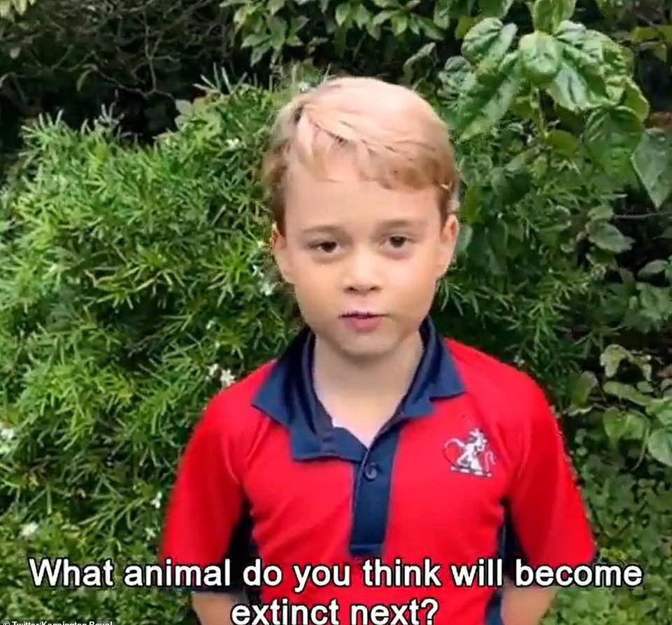 Sir David Attenborough odpowiedział na pytania, które zadały dzieci Kate i Williama