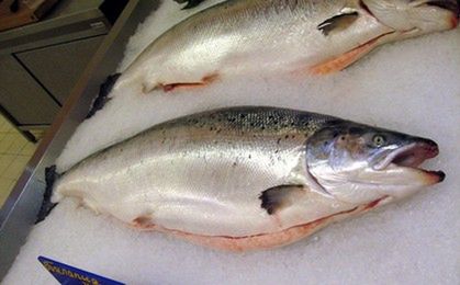 "Klient kupuje nie rybę, ale wodę" - ostrzega Inspekcja Handlowa