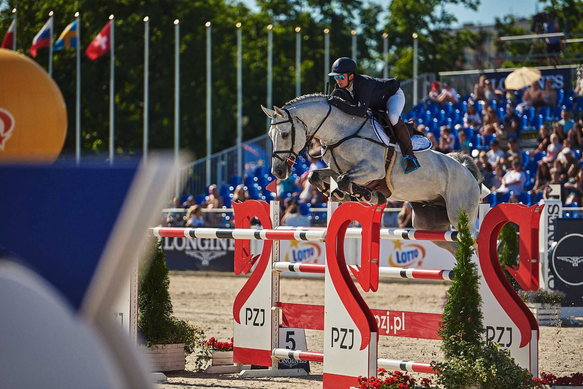 Zawody jeździeckie w Sopocie 2019