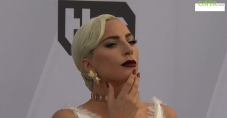 Postrzelony opiekun psów Lady Gagi, porwane dwa buldożki.