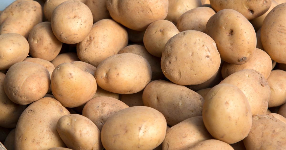 Ziemniaki - Pyszności; foto: Canva