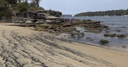 Popiół na plaży w Sydney po pożarach buszu