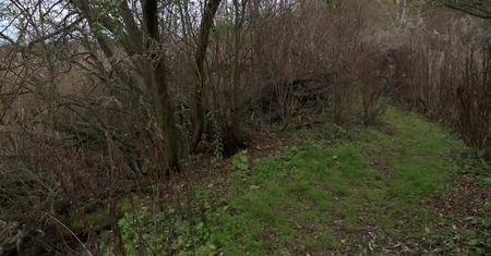 Na torfowisku nieopodal Łodzi znaleziono ciało starszego mężczyzny. Jego zaginięcie rodzina zgłosiła dwa tygodnie temu