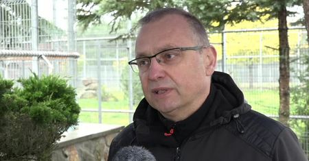 Tygrysy po kontroli weterynaryjnej. Zarządzono 30-dniową kwarantannę