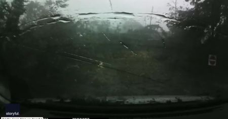 Apokalipsa w Kanadzie. Kierowca desperacko próbował wydostać się z lasu, ale drzewa łamały się jak zapałki