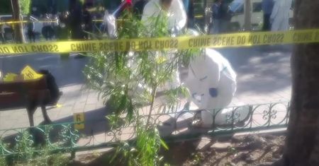 Eksplozja w centrum Tunisu. Terrorystka wysadziła się w powietrze
