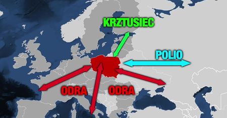 W Polsce lawinowo wzrasta liczba chorych na odrę. “Propaganda antyszczepionkowców działa skutecznie”.