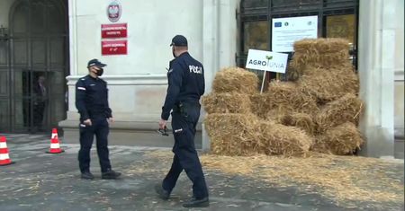 Słoma i race przed wejściem do ministerstwa rolnictwa. Poranna akcja protestacyjna rolników z Agrounii