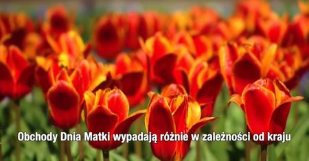 Dzień Matki już dziś! Oto garść ciekawostek związanych z tym świętem