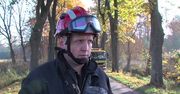 Samochód uderzył w drzewo niedaleko Białogardu. Trzech mężczyzn nie żyje
