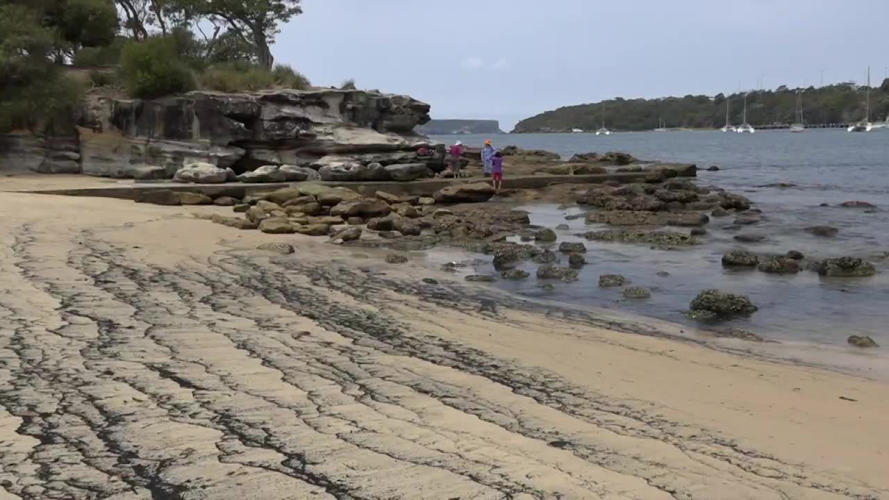 Popiół na plaży w Sydney po pożarach buszu