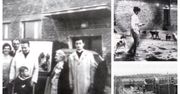 Poznańskie Schronisko dla zwierząt ma już 59 lat!