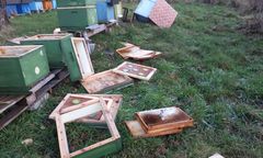 Zdemolowana pasieka pszczół. Załamany właściciel prosi o pomoc