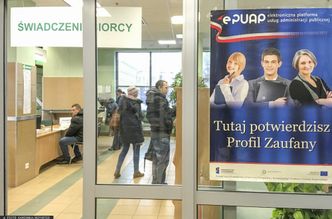 Profil Zaufany zamiast wyjścia do urzędu. Padł nowy rekord