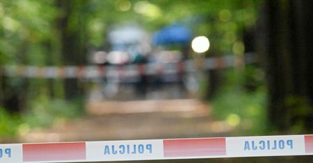 Kierowcy autobusu wybiegła na drogę sarna. 6 osób rannych