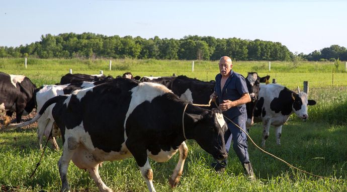 Niezwykły dr Pol