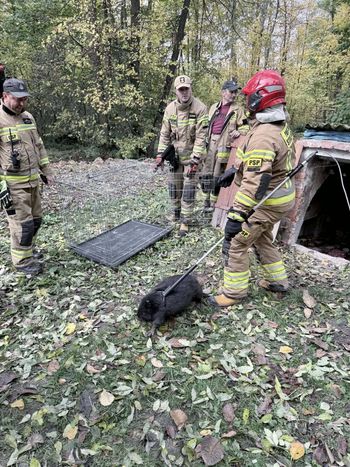 Wezwali strażaków do "czarnego człowieka" w piwnicy. Gdy zajrzeli do środka, czekała ich niezła niespodzianka!