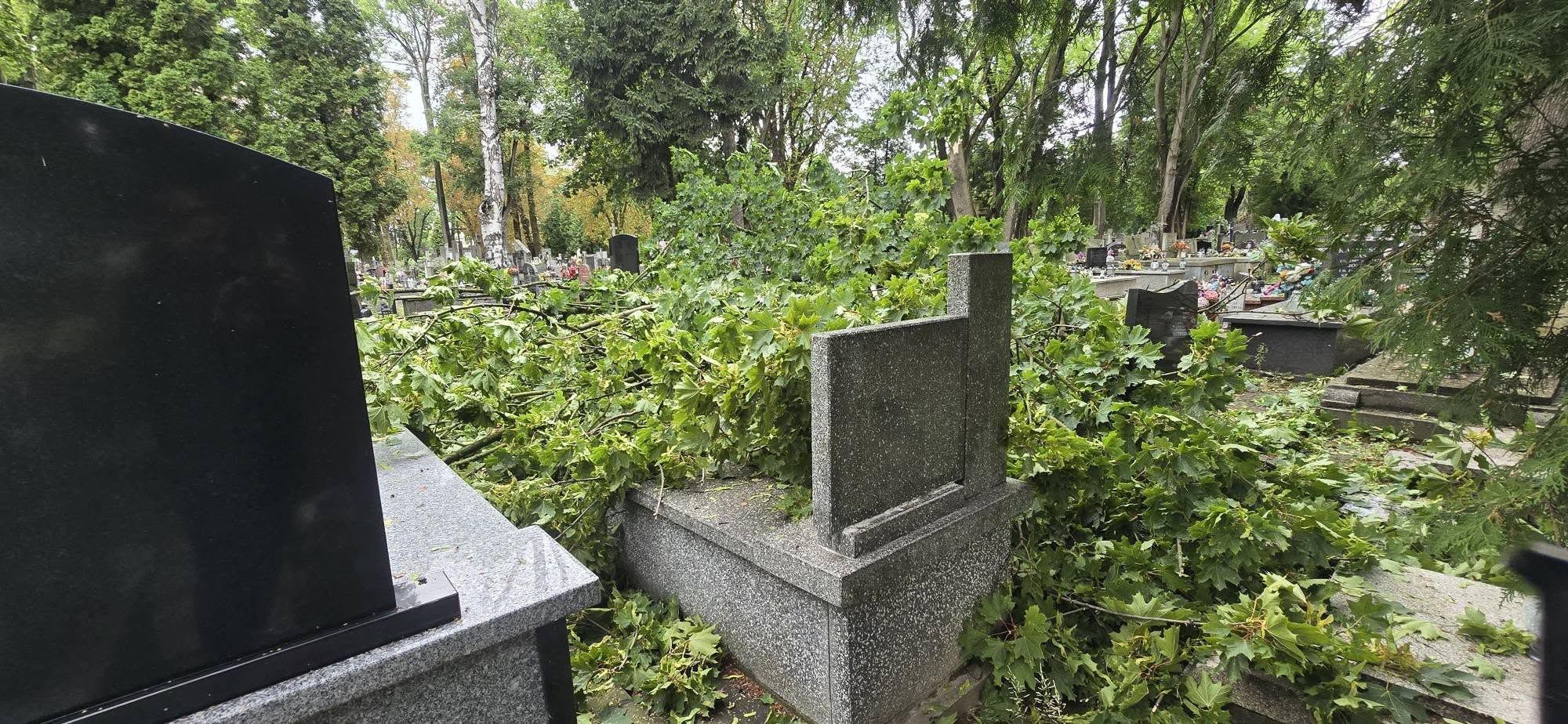Cmentarz przy ul. Kobylińskiego 