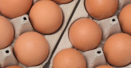 Jaja ekologiczne - kaloryczność, wartości i składniki odżywcze, właściwości