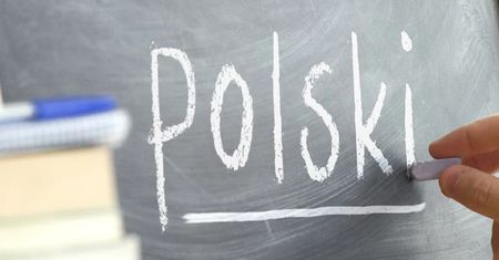 Czy jesteś mistrzem języka polskiego? Sprawdź swoją wiedzę w quizie