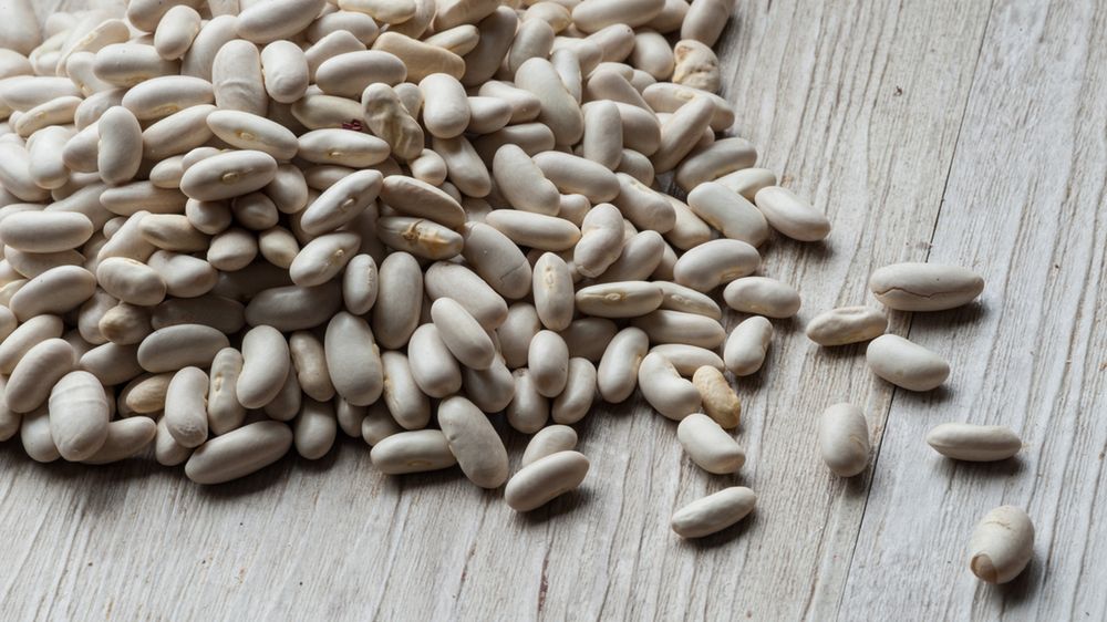Surowa biała drobna fasola