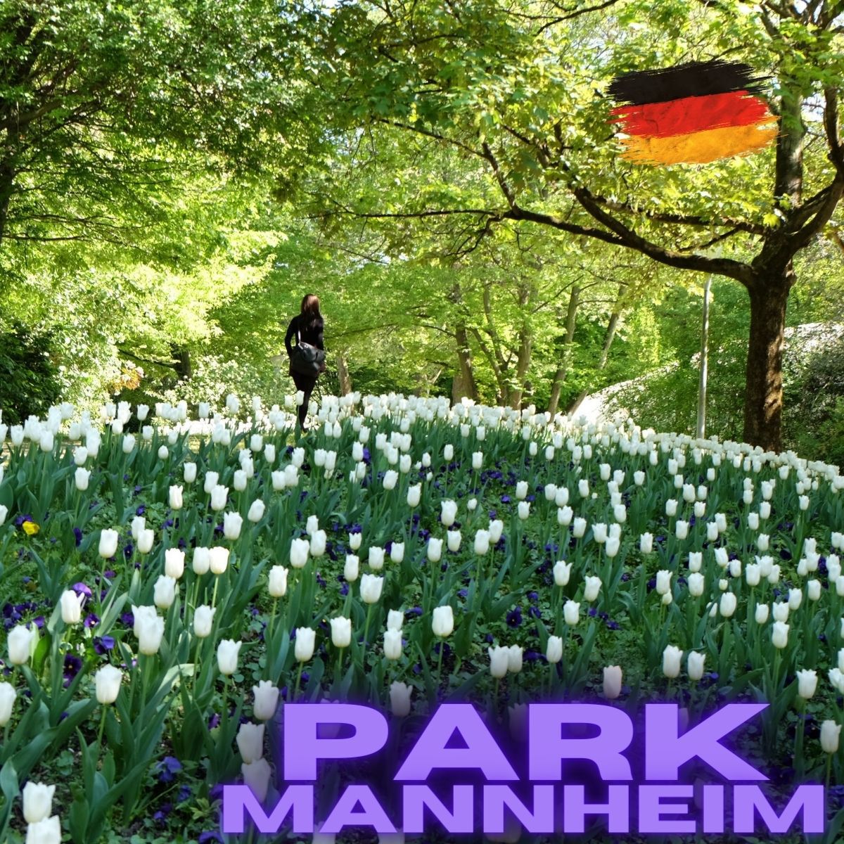 Luisenpark i Herzogenried Park Mannheim
