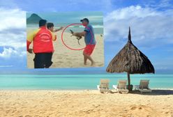 Tego się nie spodziewał. Zaatakował go aligatorem!