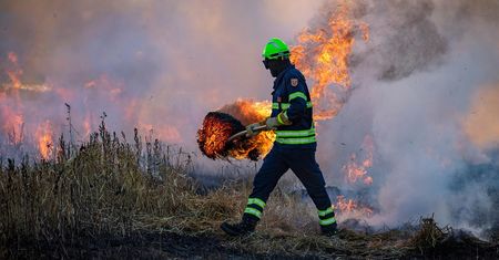 Niebezpieczny "sposób" na porządki. Wypalanie traw może skończyć się tragedią