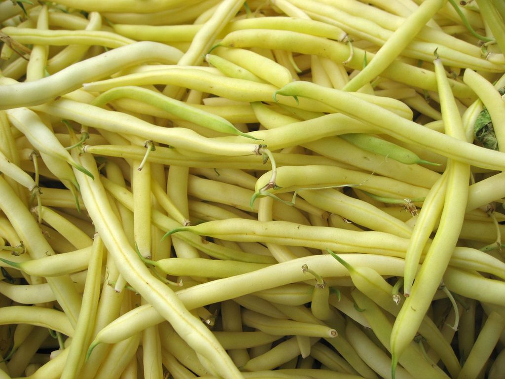 Fasolka szparagowa - kalorie i rodzaje, właściwości, przygotowanie, ciekawostki