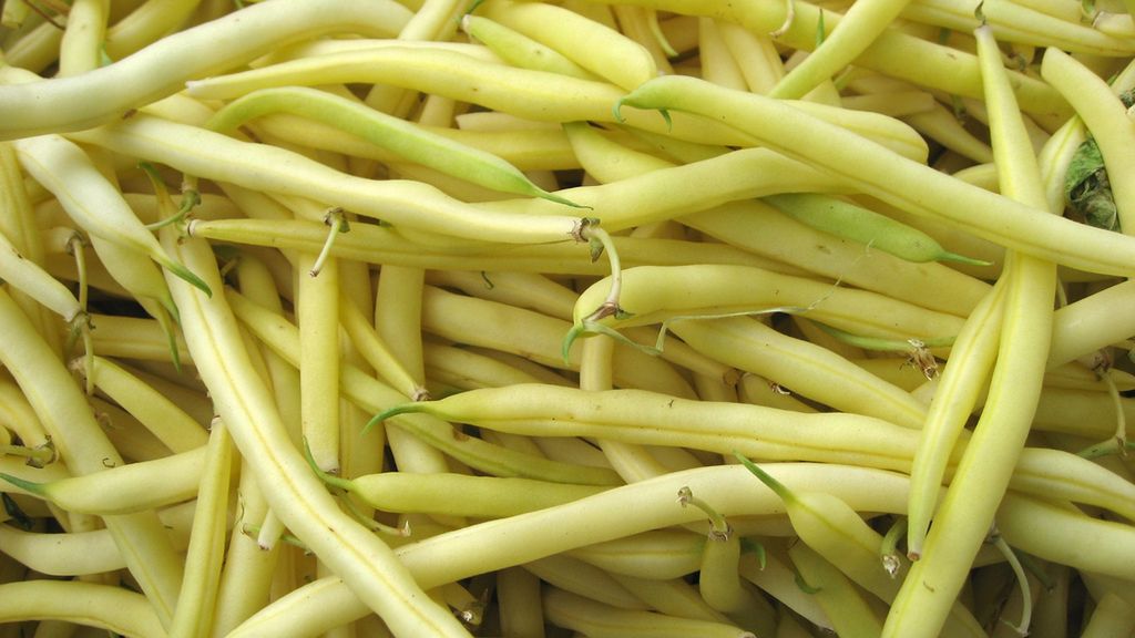 Fasolka szparagowa - kalorie i rodzaje, właściwości, przygotowanie, ciekawostki