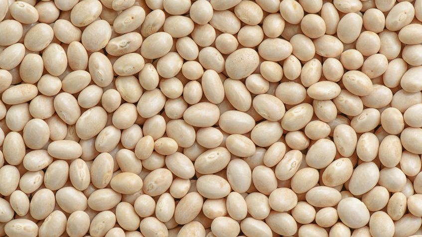 Surowa biała fasola