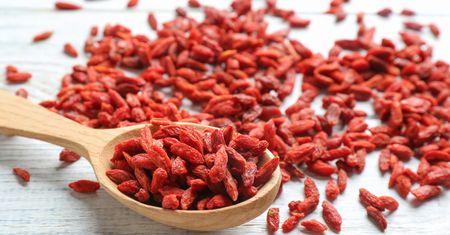 Jagody goji — wspaniałe superfood, które pokochasz