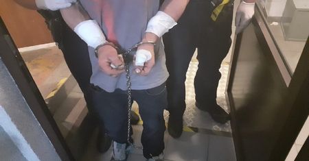 Makabra na Dolnym Śląsku. Przypadek uratował kobietę przed straszną śmiercią