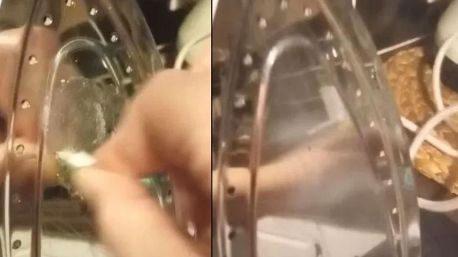 Żelazko w trakcie i po użyciu paracetamolu