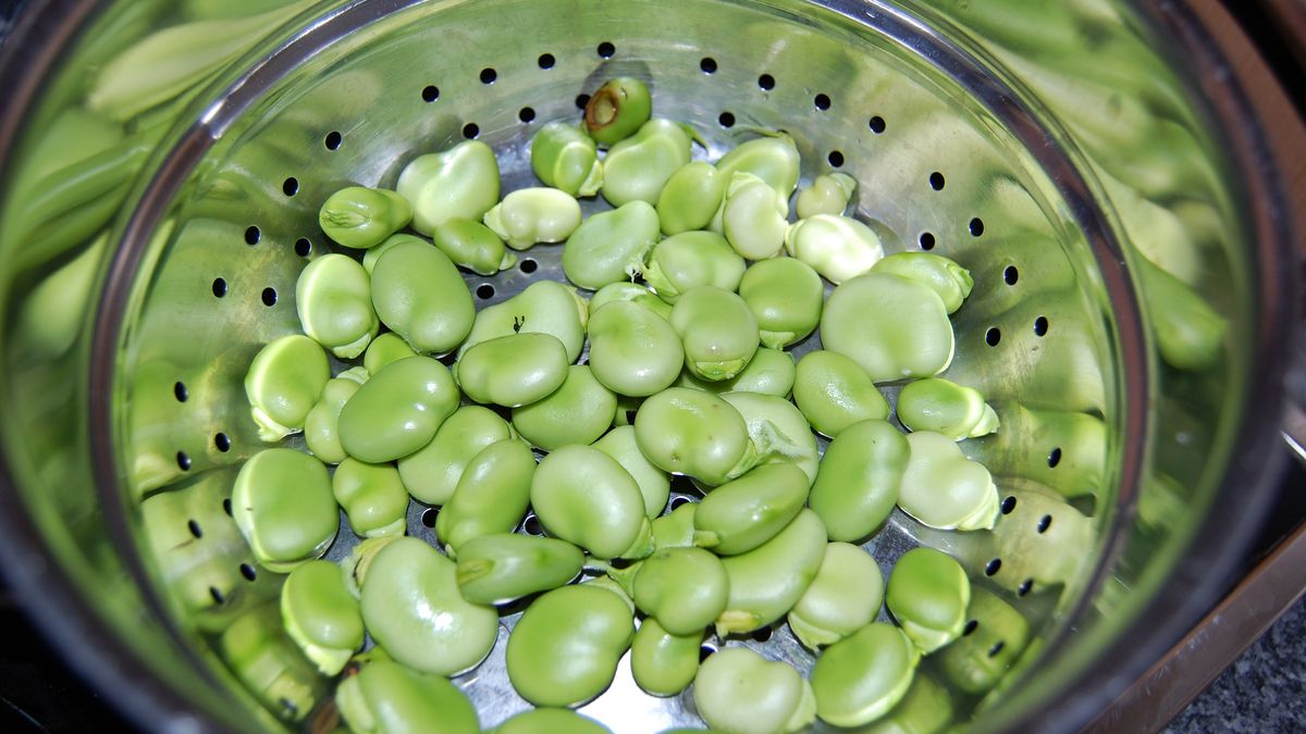 Bób - charakterystyka i wartości odżywcze. Jak gotować bób?