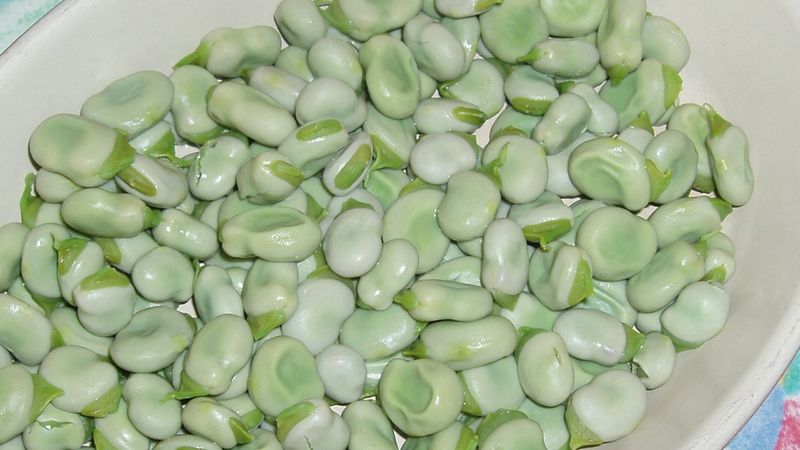 Bób gotowany bez dodatku soli