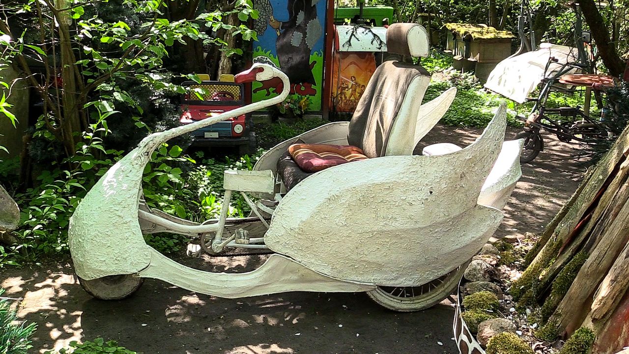 Jeżdżący łabędź, Byszewice