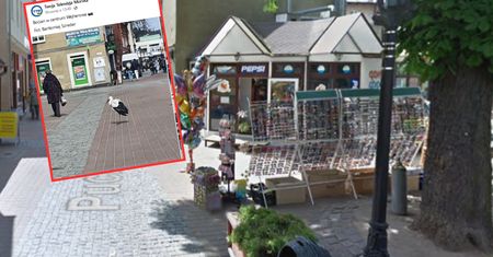 To nie fotomontaż. Taki widok w centrum Wejherowa