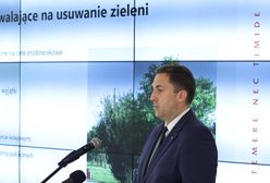 Gdańsk. Trzy razy więcej nasadzeń niż wycinek. Jest projekt władz miasta