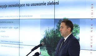 Gdańsk. Trzy razy więcej nasadzeń niż wycinek. Jest projekt władz miasta