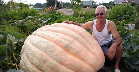 Półtonowy gigant