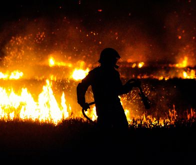 Pożary połonin w Bieszczadach. "Podejrzewamy celowe podpalenia"